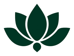 Lotus Valley Public School logo